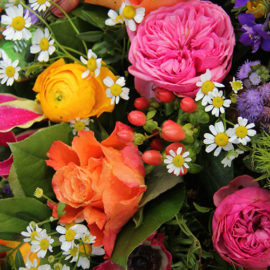 Josefina’s Letter – Words of Welcome